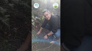 ¡Un enorme agradecimiento a Nub8!