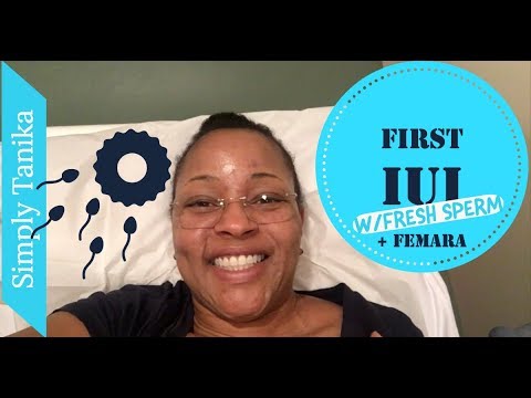 First Intrauterine Insemination |  IUI | Infertility Video