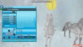 Buying a Fjord Horse ~ Star Stable Online