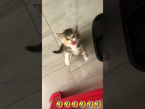 29 августа 2025 г.