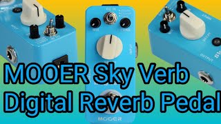 Video thumbnail for MOOER SKY VERB  Digital Reverb pedal review by Ed Waltermanians