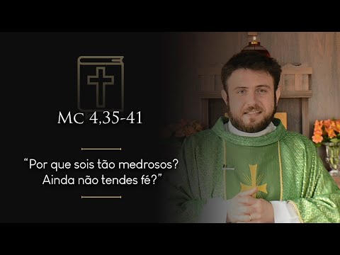 Homilia Diária | 12º Domingo do Tempo Comum