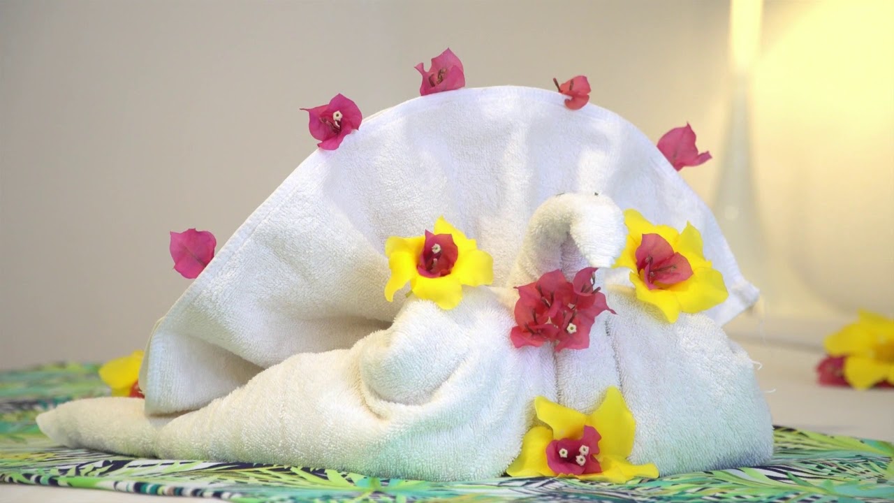 Video: 3* Villas Mon Plaisir