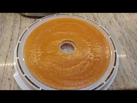 download lagu mp3 mp4 Cantaloupe Fruit Leather, download lagu Cantaloupe Fruit Leather gratis, unduh video klip Cantaloupe Fruit Leather