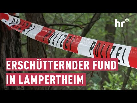 Tötungsdelikt in Lampertheim | maintower