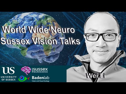 World Wide Neuro | Sussex Vision Series - 08/12/2020 - Wei Li