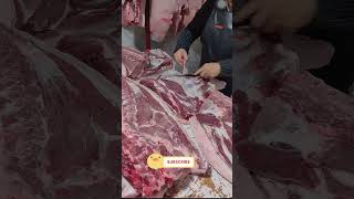 Download lagu ep 15k931 mp3 Download lagu ep 15k931 mp3