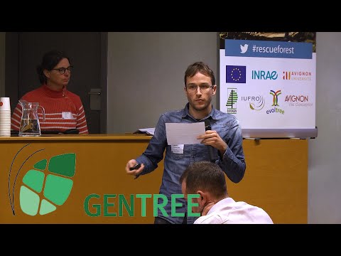 31 GENTREE : Hernan SERRANO-LEON - European Forest Institute Bordeaux · France