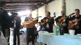 preview picture of video 'mariachi hermanos topete de guachinango,jalisco - cuerdas de oro'
