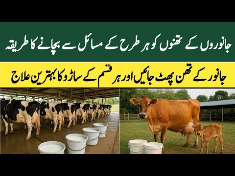 Janwaron K Thanno K Tamam Problems Ka Best Ilaj