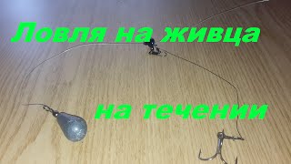 Снасть для ловли фидером на живца