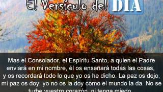 Miniatura del video: El versiculo del dia .com - Juan 14 v26-27