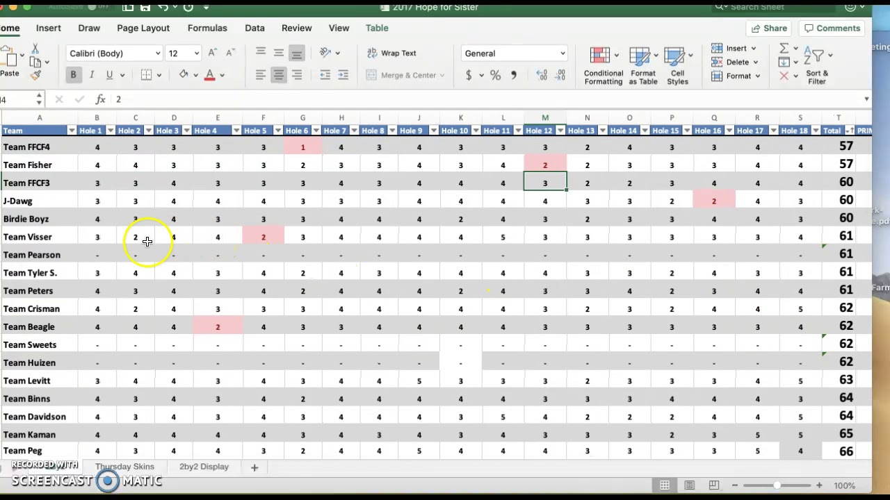 Skins & Tournament Scores Spreadsheet