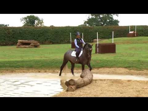 Training the Young Horse for Eventing - Introducing a horse to water under the saddle