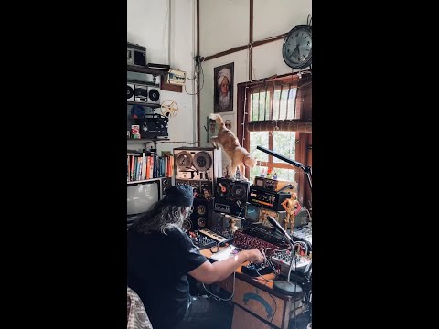 🐈 A studio cat-astrophe 📷 Mohammad Kamal bin Sabran