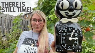 WHAT TO PLANT IN AUGUST IN ZONE 5B | Growing food in small spaces