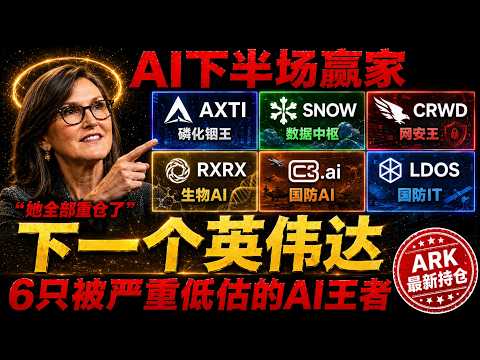 6 Cathie Wood AI Hidden Gems, Severely Undervalued? The Real Winners of the Second Half of the AI...