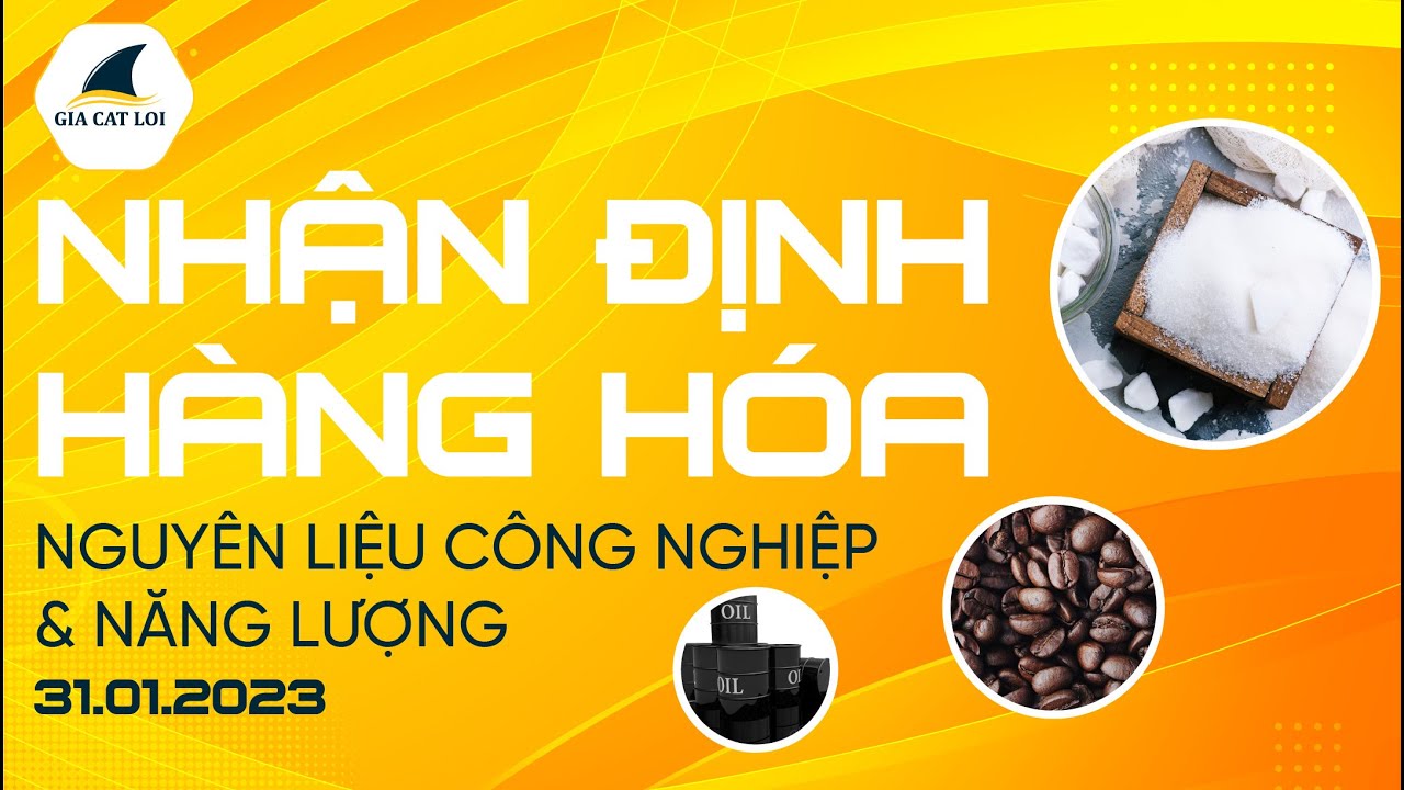 Nhận Định Hàng Hoá Năng Lượng & Nguyên Liệu Công Nghiệp Ngày 31/01/2023