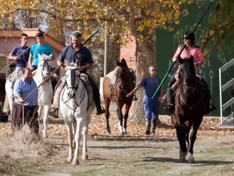 Una tarde en Fuente el Olmo