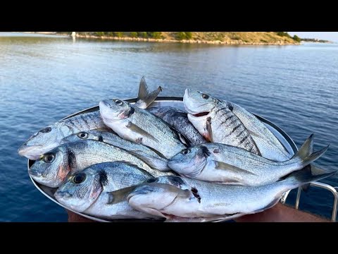 How Much Fish Can I Catch In a Day?