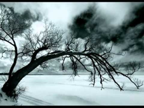 Aurel  Tamas - Cucule pasare  mandra -  .wmv