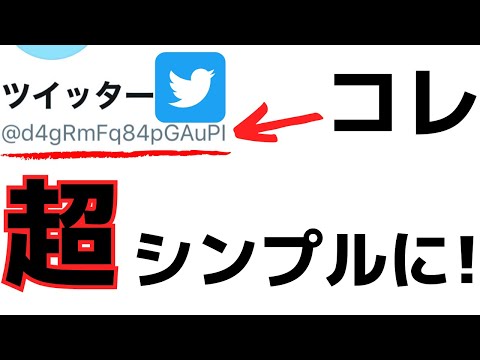 Twitter 名の変更: 微妙な違いがあります