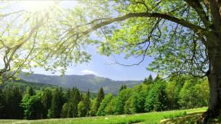 Above &amp; Beyond feat. Justine Suissa - Little Something (1080p HD)