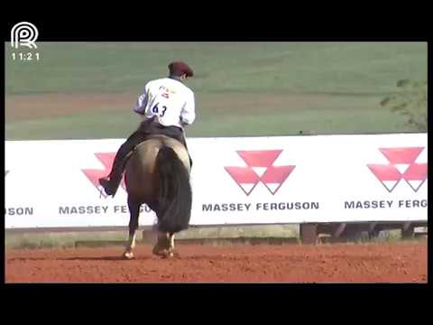 Classificatória Região SC/PR – 3° lugar machos – Canta Galo do Purunã (Prova: Bayard/Sarmento)