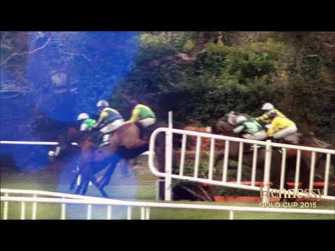 Hennessy Gold Cup 2015