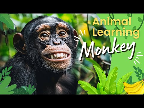 Learning Monkey In The Wild 🐵🍌 | All About Monkeys 🐒 | Monkeys For Kids 🙈 | Monkey Fun Facts 🙉