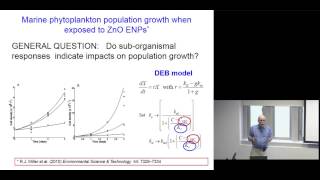 Modeling environmental impacts of engineered nanomaterials
