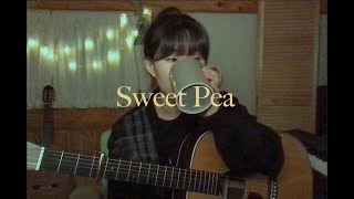 Sweet Pea (COVER) _ Amos Lee
