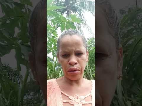 Campanha de castração gratuita urgente na região de jacaré dos homens Alagoas.