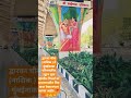 Adipurush Bollywood Ramayan Ayodhyarammandir Ayodhya Travel Nashi Song Love