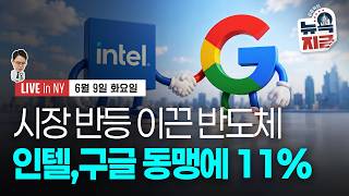 [김종학의 뉴욕, 지금-6월9일] 스페이스X, 초과 청약..고평가 우려도 확산 | 트럼프도 통제 못하는 네타…