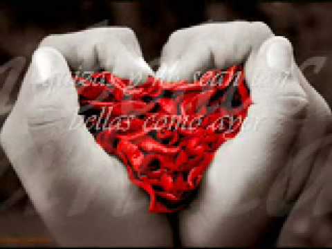 Seguir de pie - Tranzas