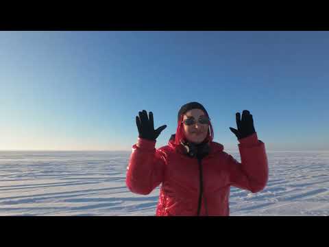 SHADU - The Flow Vol. 12 / Afro House