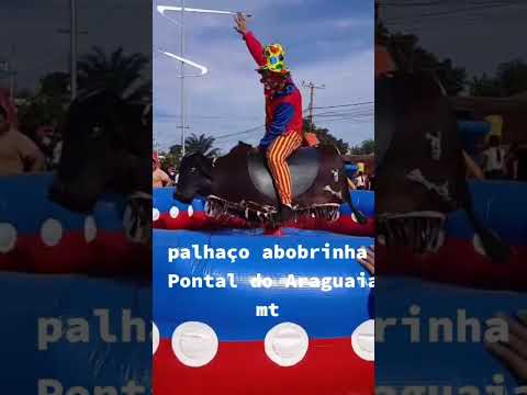 palhaço abobrinha. Pontal do Araguaia mt