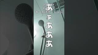 『回る空うさぎ』をお風呂でキー上げをあげて歌ってみたら星を濡らした【アカペラ】【しゃけみー】【クレノア】