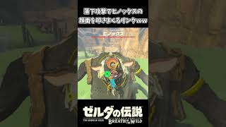 ヒノックスの顔面を叩きまくるリンクｗｗ【ゼルダの伝説 ブレス オブ ザ ワイルド】