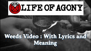 Life of Agony Weeds video with lyrics and meaning.