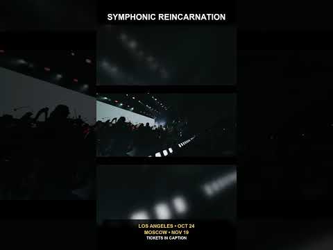 Reincarnation Orchestra