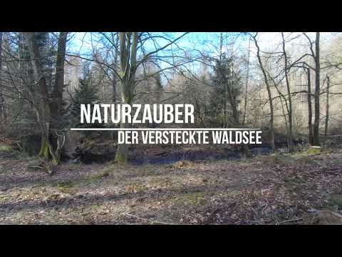 Naturzauber - Der versteckte Waldsee