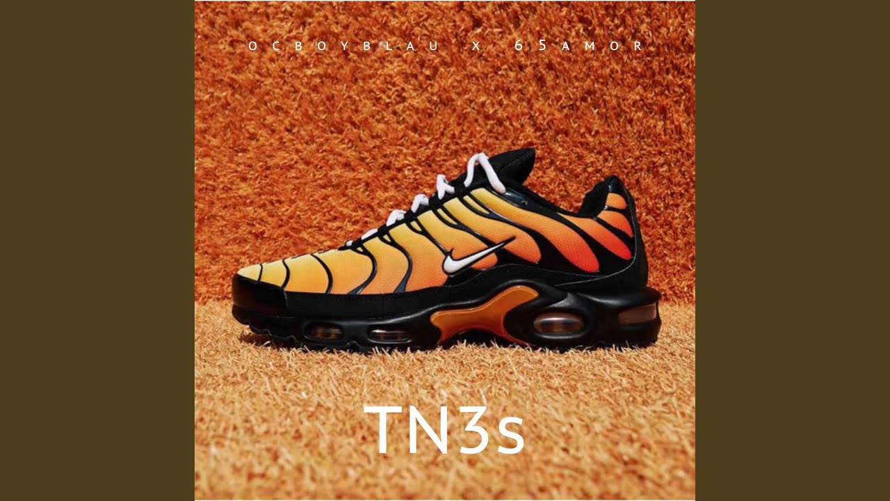 Cover for the song 'TN3s' by artist(s) 'Ocboyblau, 65amor'
