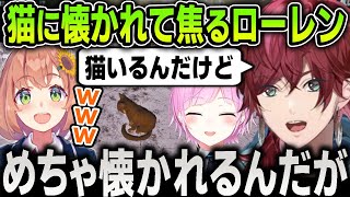 【#にじARK】恐竜だらけの世界で猫に懐かれてずっと後ろを付きまとわれるローレン【にじさんじ / 切り抜き / 夕陽リリ / 本間ひまわり / 葛葉 / エクスアルビオ】