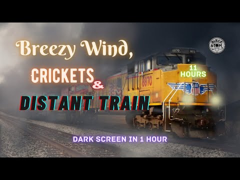 🚂 Sounds of Breezy Wind, Crickets, and Distant Train ⨀ 11 Hours ⨀  Dark Screen in 1 Hour
