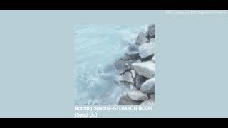 Cover art for Nothing Special