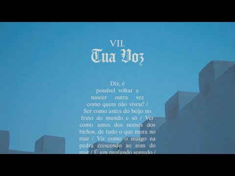 Zeca Veloso - Tua Voz (Visualizer)