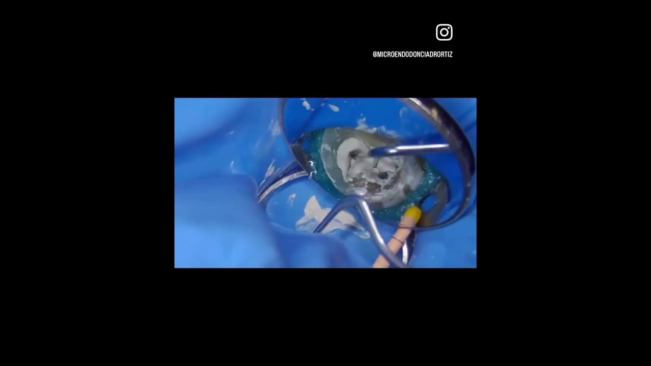 Daniel Ortiz Licea-11