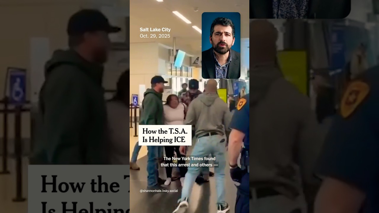 How the TSA Is Helping ICE